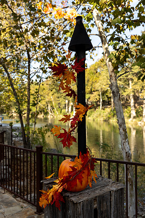 20251018_MontanaMoore_W_ (131 of 750)
