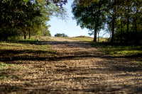 20251031_ChadCampidonico_W13