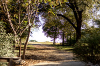 20251031_ChadCampidonico_W11