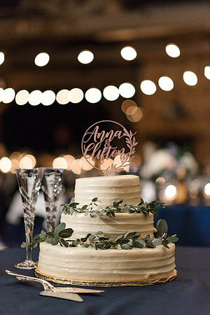 Anna and Clifton - Reception-296